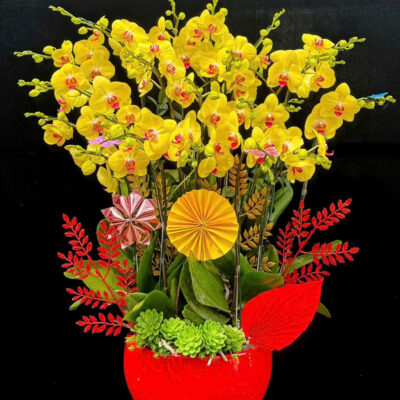 Hoa Lan Hồ Điệp Vàng