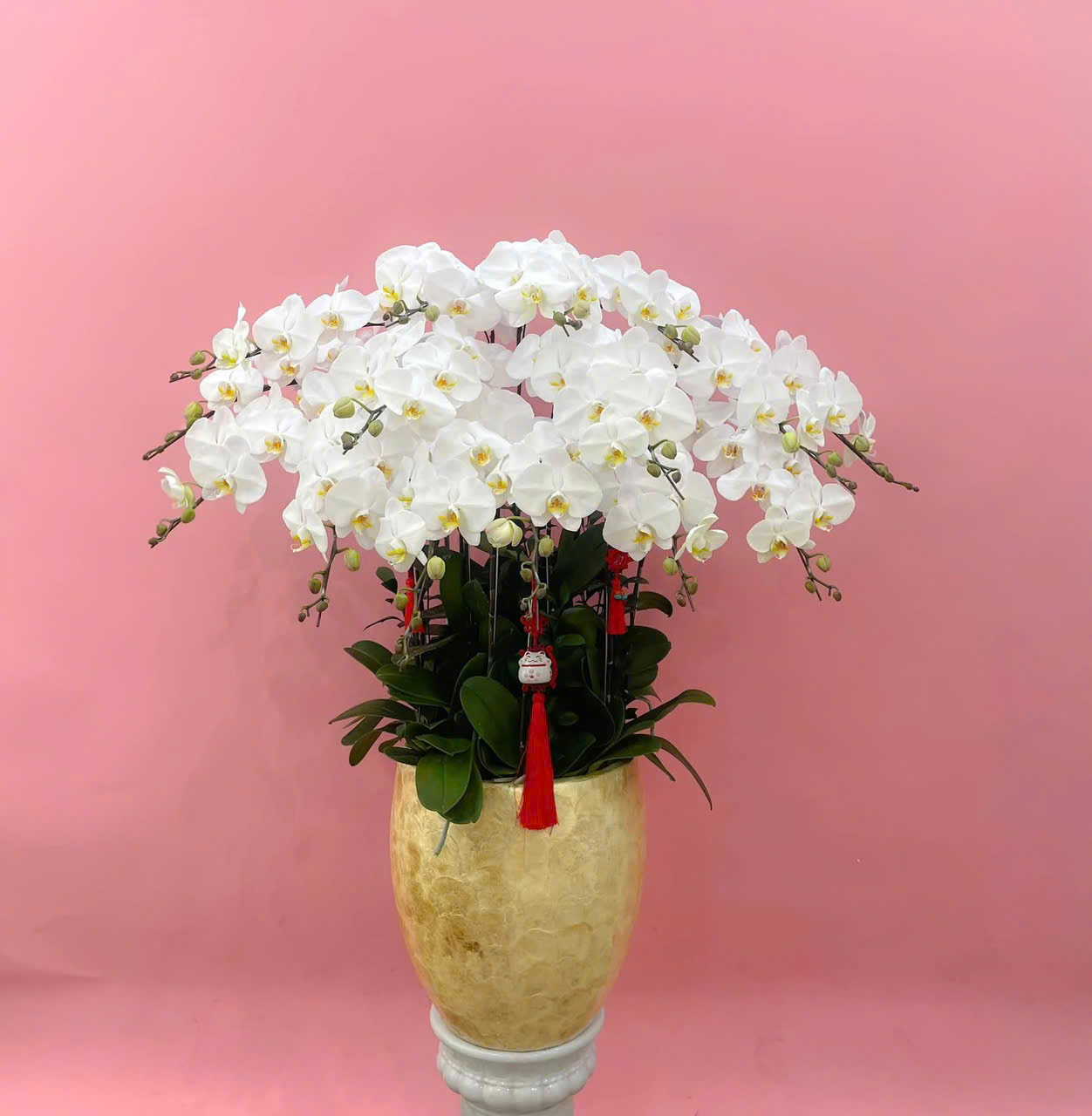 z6726051014367_a2a9d202c6c920749e5d6fa444d9cae1