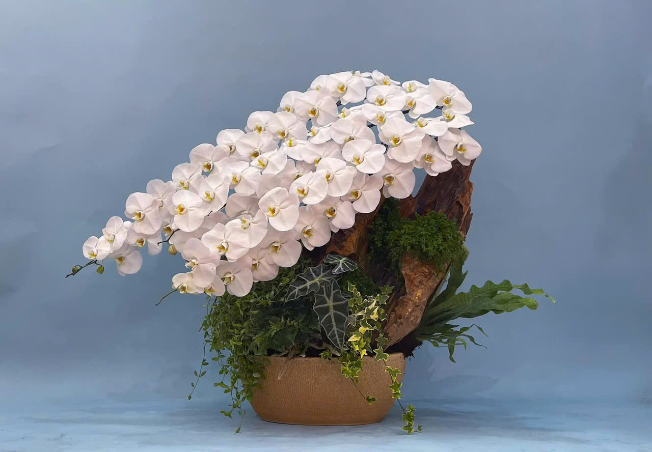 z6726051016234_bc510281c8f5c7075d28c4964264c99f