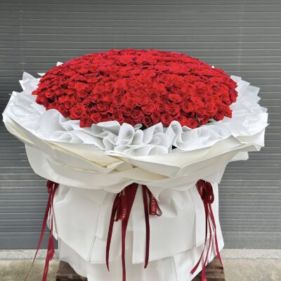 Hồng Đỏ Vô Tận