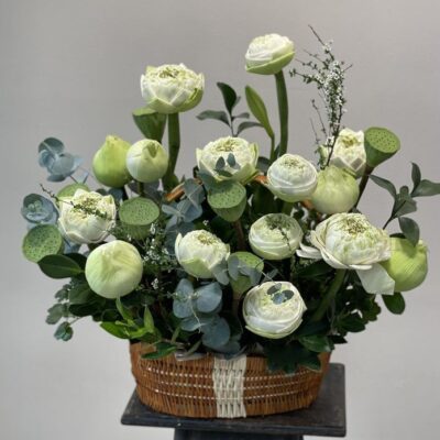 Tịnh Liên Tâm An