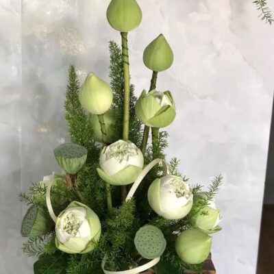 Dâng Trọn Ân Tình