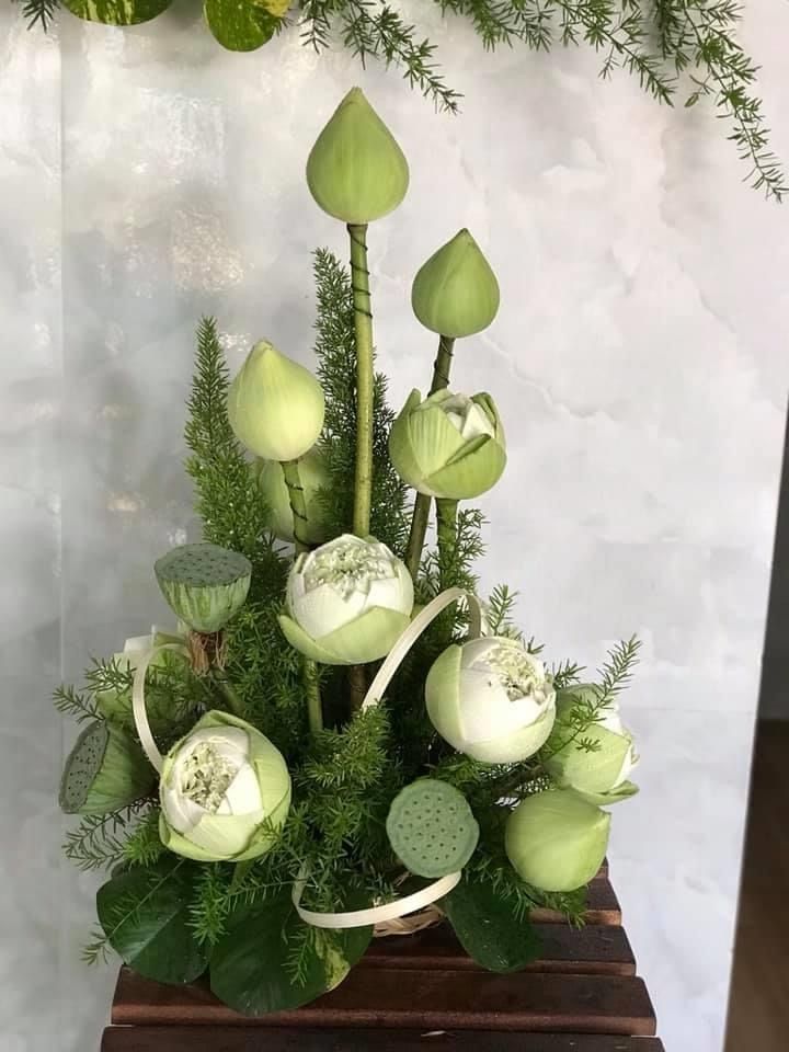 Sen Sen Trắng Dâng Lễ - Dâng Trọn Ân Tình