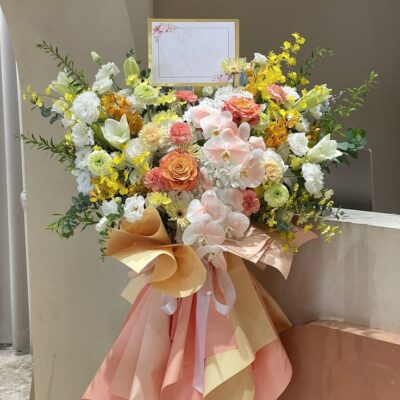 Nắng Mai Khai Lộc