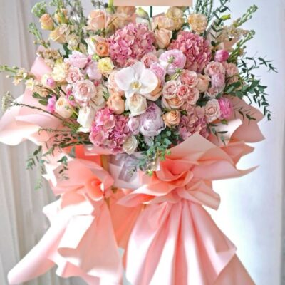 Hồng Vân Rạng Rỡ