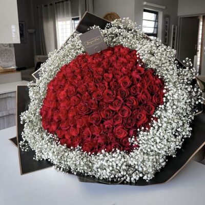 Hồng Đỏ Rực Rỡ