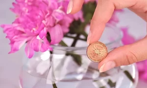 Cách Giữ Bó Hoa Tươi Lâu Đơn Giản Tại Nhà