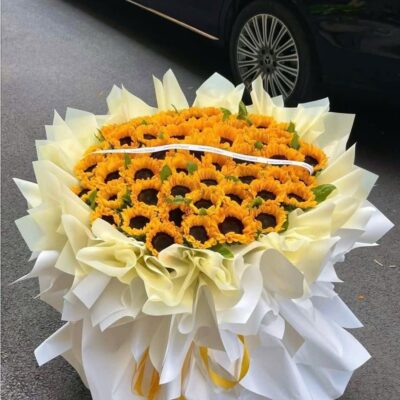 Biển Hoa Hướng Dương