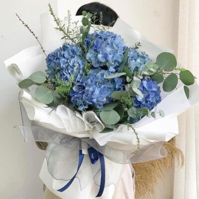 Thanh Lam Dịu Dàng