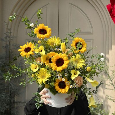 Nắng Vàng Rực Rỡ