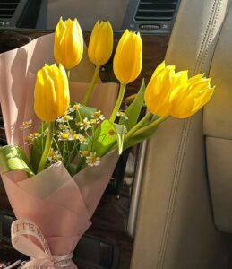 Ý Nghĩa Hoa Tulip Trong Tình Yêu, Tình Bạn Và Cuộc Sống