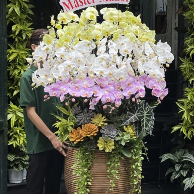 Vạn Sắc Thành Công