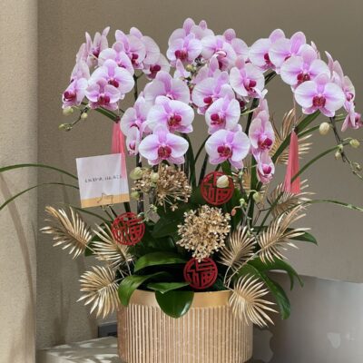 Hồng Phát Vinh Hoa