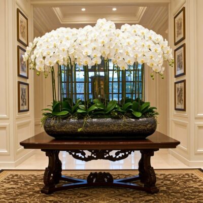 Bạch Ngọc Thành Đạt