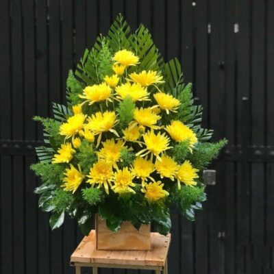 Hoa Cúc Dâng Lễ Bình An