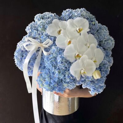 Sắc Xanh Hiền Từ