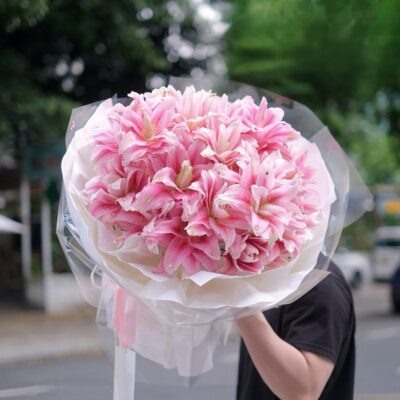 Sắc Hồng Dịu Dàng