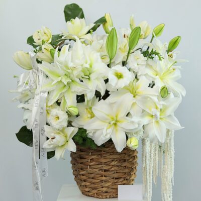 Sắc Trắng Tinh Khôi